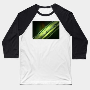 Dew drops on grass blade Baseball T-Shirt